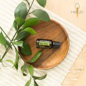 doterra melaleuca