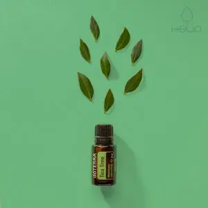 doterra tea tree