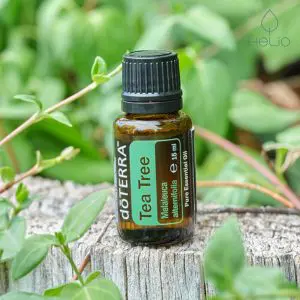 tea tree doterra