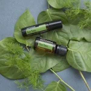 tea tree oil