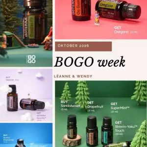Voorkant BOGO-gids oktober 2026